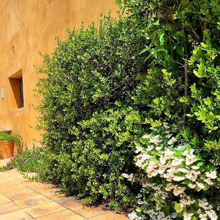Masia Para Grupos Con Piscina Privada28 Pax Cabanelles Εξωτερικό φωτογραφία